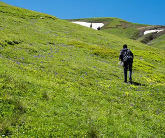 Rani Sui Lake Trek, Manali: Highlights, Quick Facts, and Essentials to Carry | Indian Tours