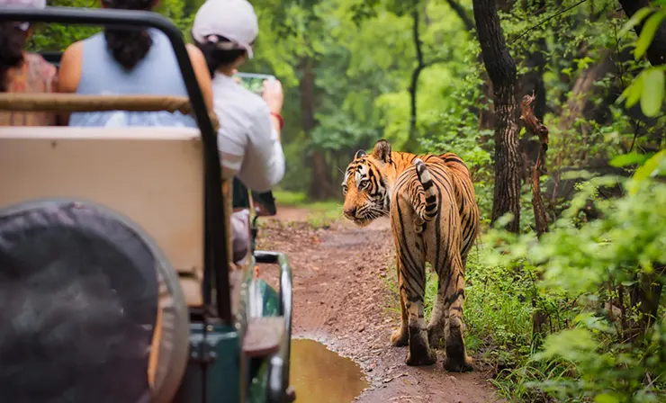 Jim Corbett – Nainital Tour