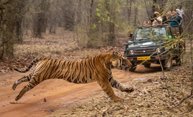 Jim Corbett with Nainital Almora and Kausani
