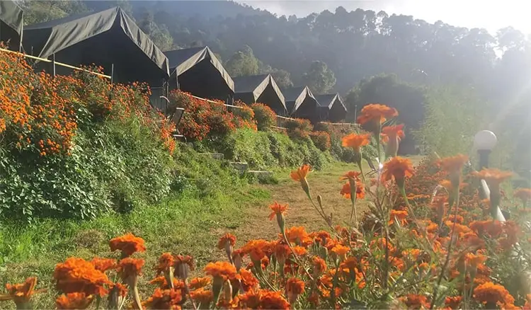 Bhimtal in Camping An Escape to the Serenity of Nature 2026 | Indian-Tours