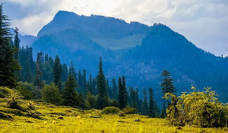 Churdhar Peak Trek 2026 | Indian-Tours