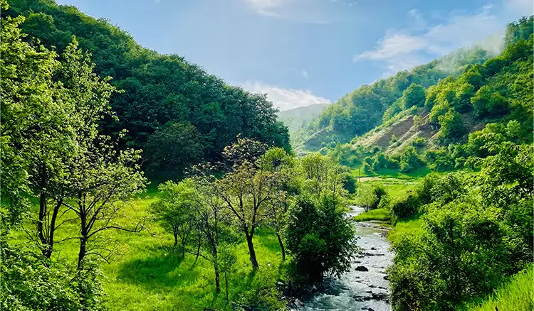 Romantic Retreat in the Hills: Dharamshala, Dalhousie, and More – A Perfect Honeymoon | Indian Tours