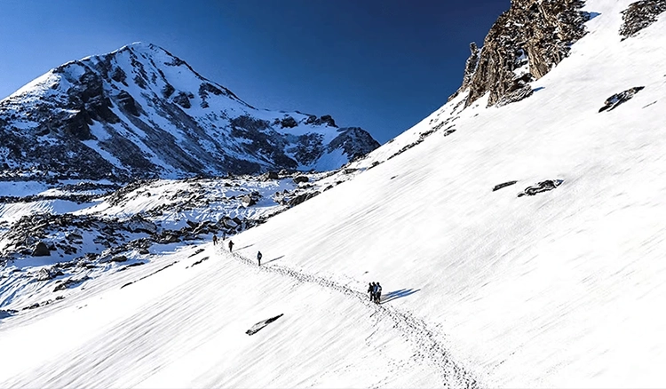 Kuari Pass Trek Tour Package 2026 | Best Himalayan Trekking Adventure