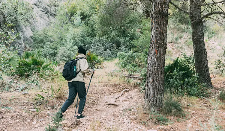 Nag Tibba Trek: A Mesmerizing Himalayan Adventure with Indian Tours