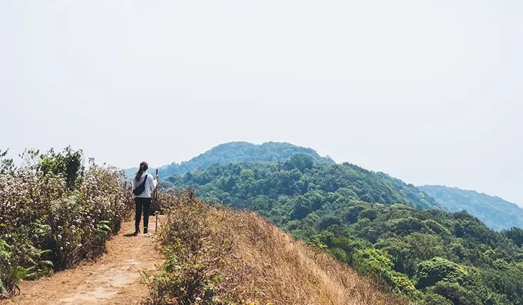 Phulara Ridge Trek 2026 | Indian-Tours