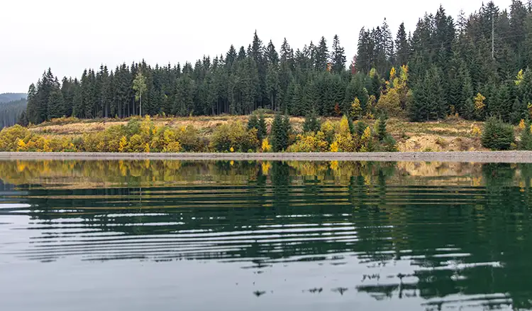 Rani Sui Lake Trek, Manali: Highlights, Quick Facts, and Essentials to Carry | Indian Tours