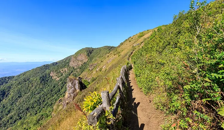 Tadiandamol Trek: The High, Wild And Wonderful Way To Reach Simplicity