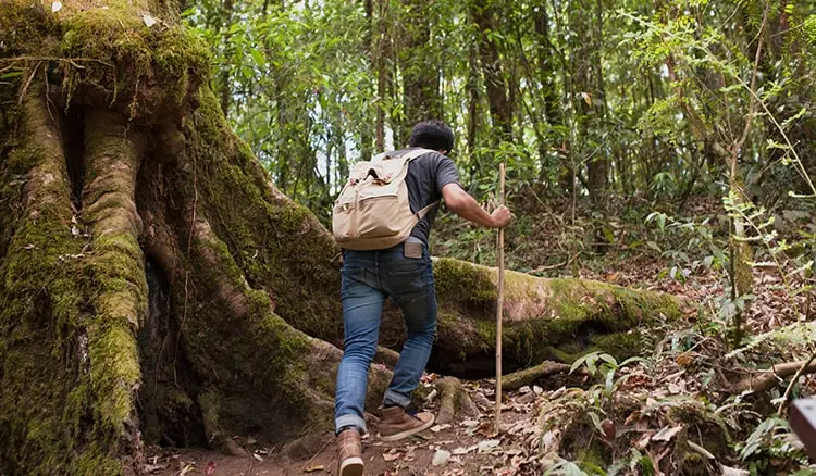 The Anthargange Sunrise Trek: India’s Next Big Adventure