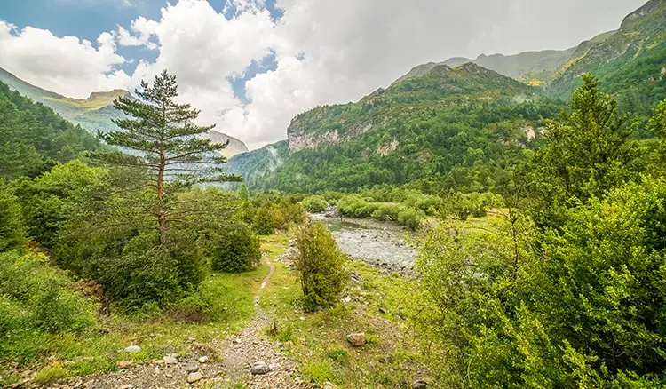 The Kedartal Trek 2026 | Indian-Tours